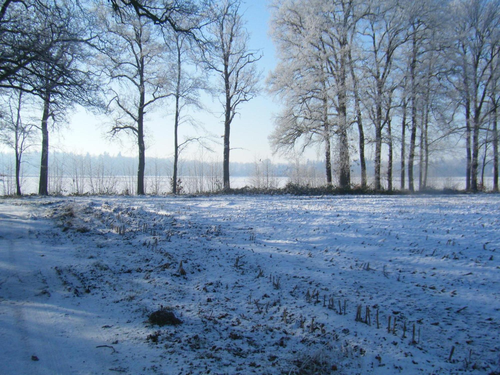 Villa With Spacious Garden Near Heeten Esterno foto